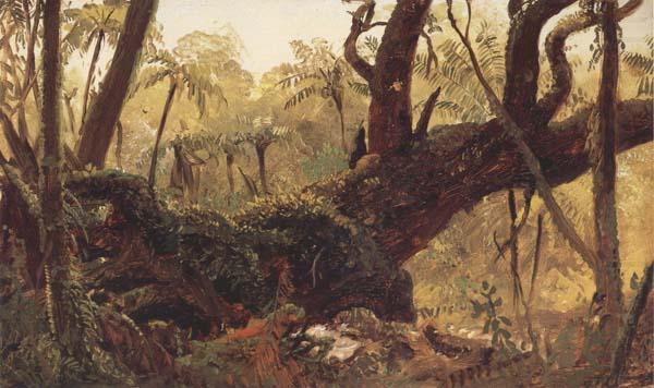 Frederic E.Church Rain Forest,jamaica,West Indies china oil painting image